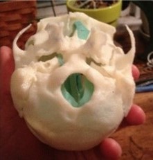 3D Printed Physical Model